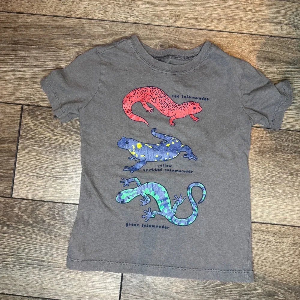 Carter's Buffalo David Bitton Boys 3T Graphic T-Shirt Bundle Dinosaur Truck 3pc